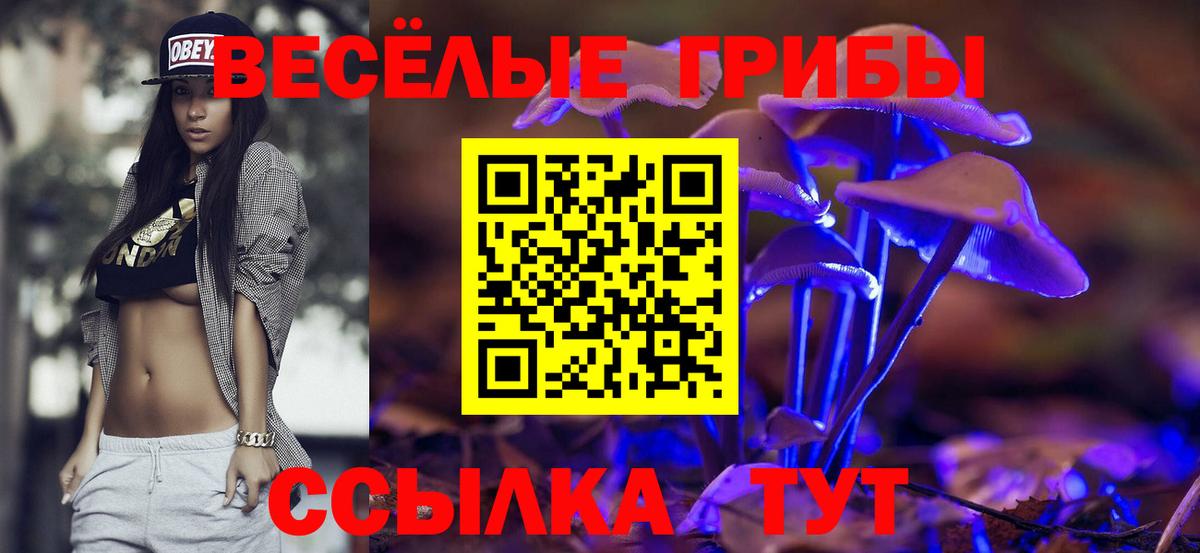 Рубцовск  Псилоцибиновые грибы Cubensis  Вход с VPN 